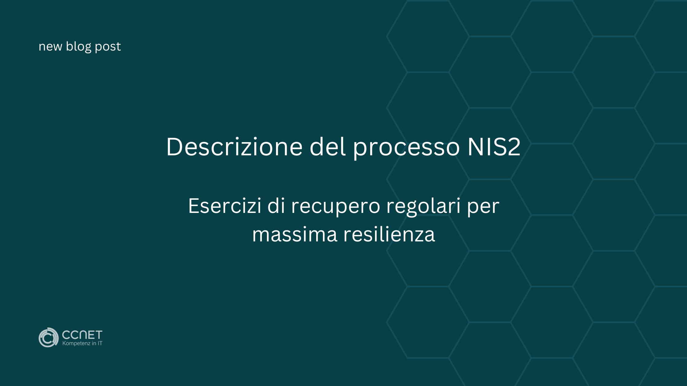 Descrizione del processo NIS2: Esercizi di recupero regolari per massima resilienza