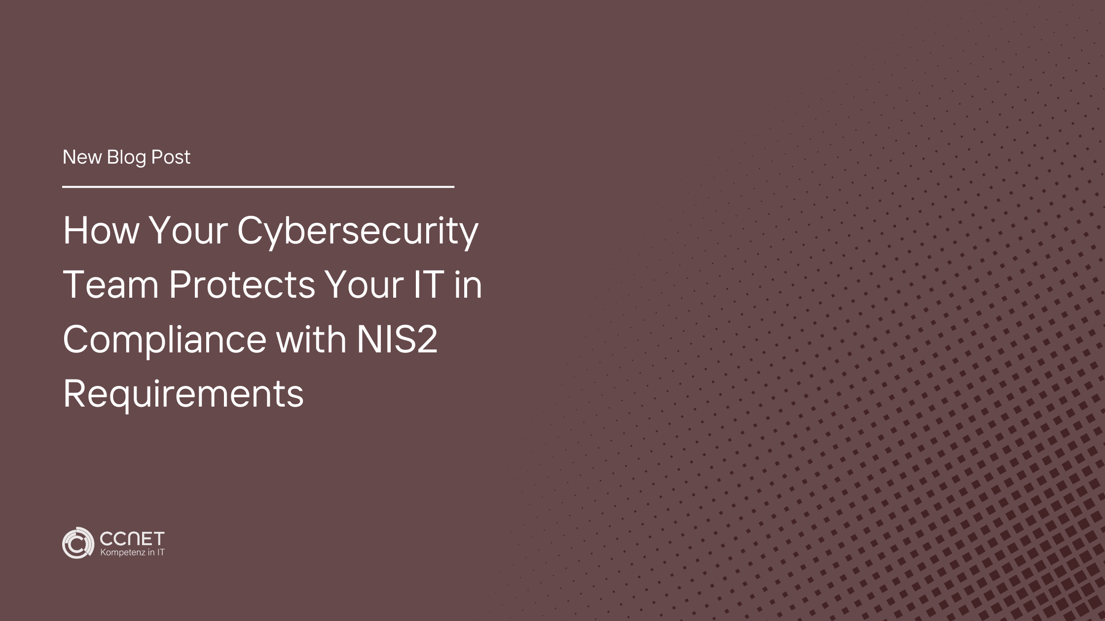 How Your Cybersecurity Team Protects Your IT in Compliance with NIS2 Requirements