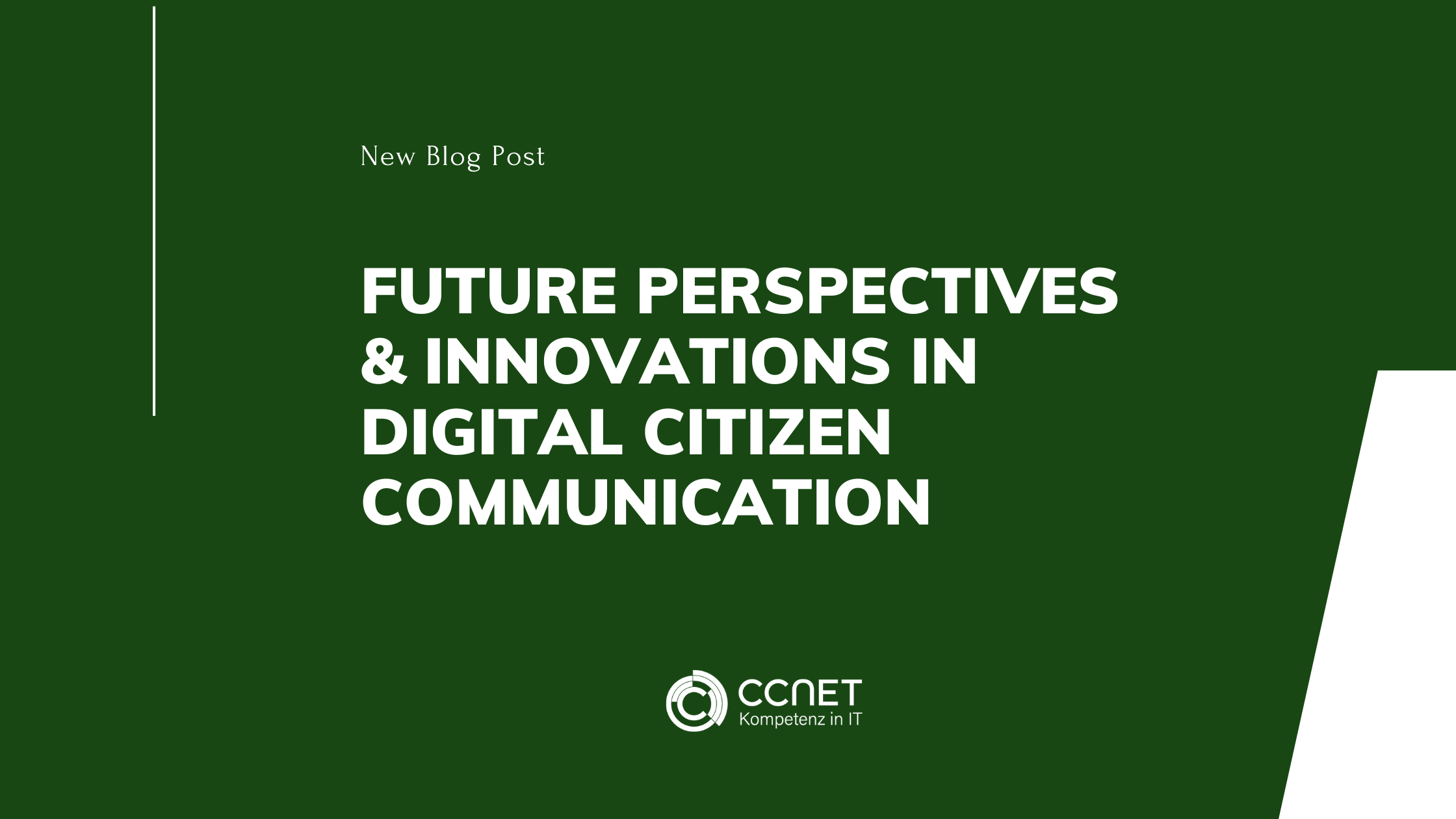 Future Perspectives and Innovations in Digital Citizen Communication
