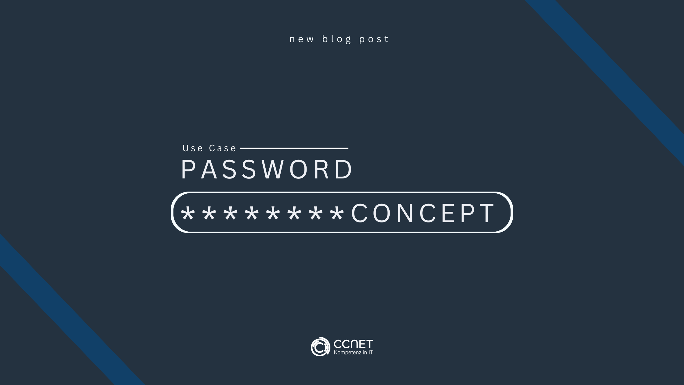 Use Case: IT Managed Services - Password concept